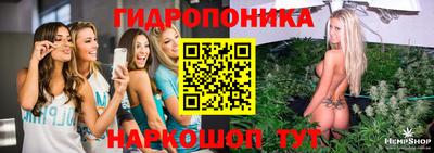 jwh Камышлов