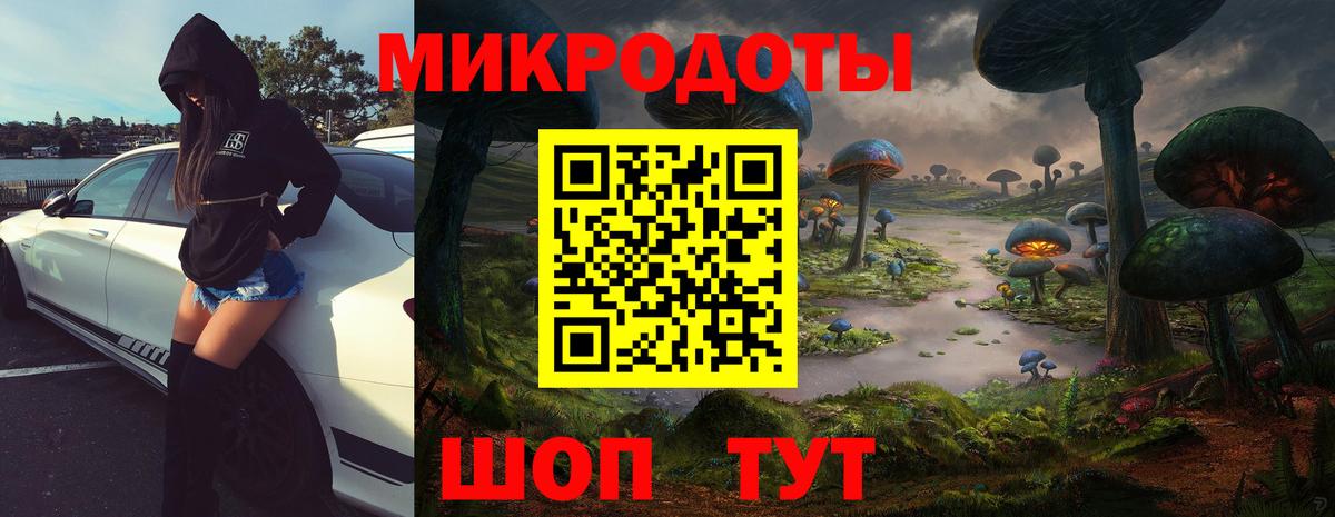 Псилоцибиновые грибы Psilocybe Гусиноозёрск